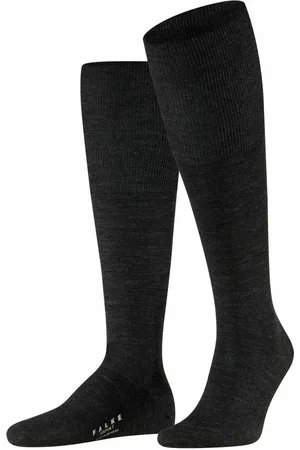 Falke Gambaletto