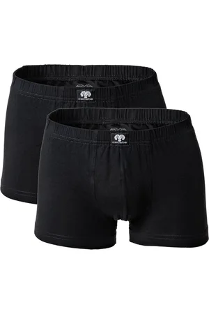 Ceceba Boxer