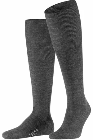 Falke Gambaletto 
