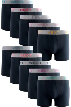 Next Boxer