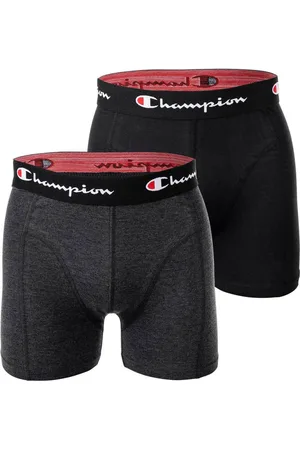 Champion Boxer