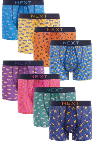 Next Boxer
