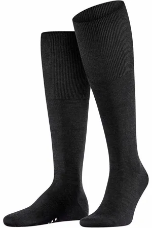 Falke Gambaletto 