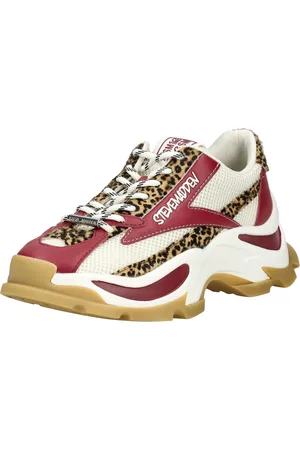 Steve Madden Sneaker bassa