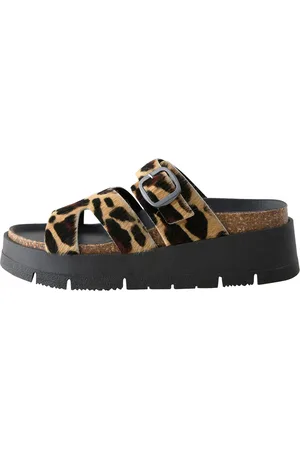 Next Zoccoletto 