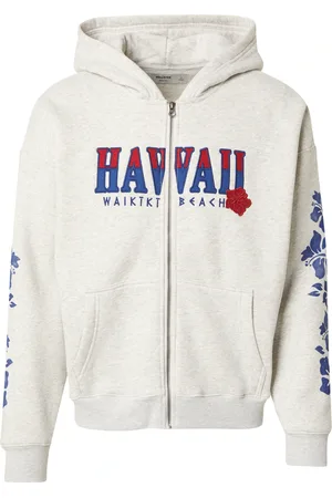 Hollister Giacca di felpa
