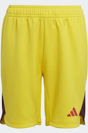 adidas Short Tiro 23 Pro Goalkeeper