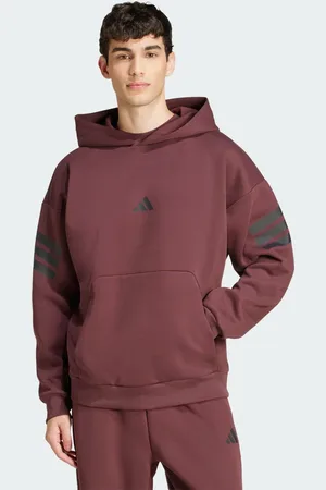 adidas Hoodie Future Icons 3-Stripes