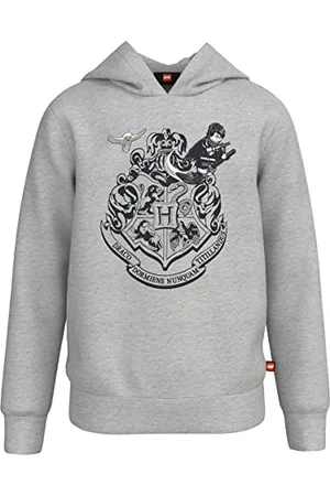LEGO Wear Harry Potter Kapuzenpullover Hoodie LWStorm 105 Felpa con Cappuccio, , 104 Unisex-Adulto