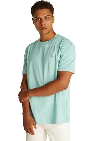 Calvin Klein Uomo T-shirt Maniche Corte Painted Tee con Scollo Rotondo, Blu (Fresh Mint), S