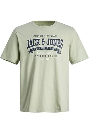 JACK & JONES JJELOGO TEE SS O-NECK 2 COL SS24 SN, T-Shirt Uomo, (Desert Sage), XS