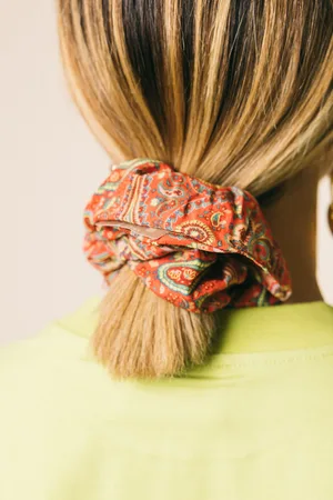Etro C00503/1190 corallo fermacapelli