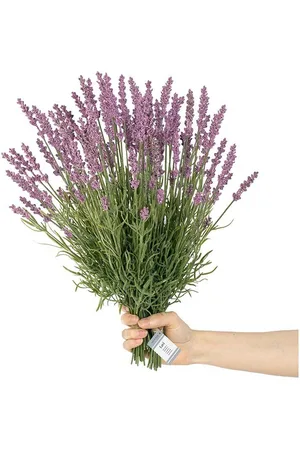 Inne Fiori finti Lawenda pacco da 10