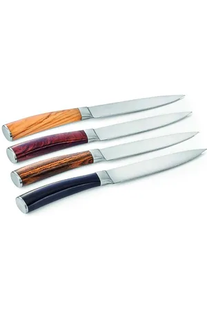 PHILIPPI Set di coltelli da bistecca in astuccio Garry pacco da 4
