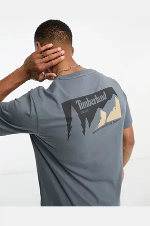 Timberland T-shirt grigia con stampa di montagne sul retro