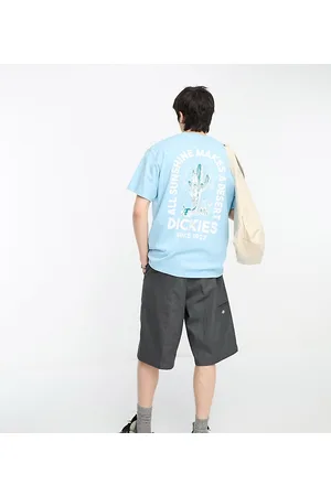 Dickies Badger Mountain - T-shirt azzurro cielo con stampa sul retro di cactus - In esclusiva per ASOS