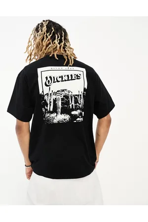 Dickies Rose Lodge - T-shirt nera con stampa di paesaggio sul retro