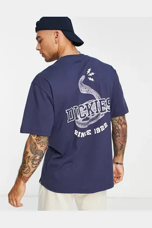 Dickies Cascade Locks - T-shirt con stampa sul retro