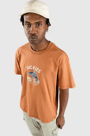 Dickies Dumfries T-Shirt marrone