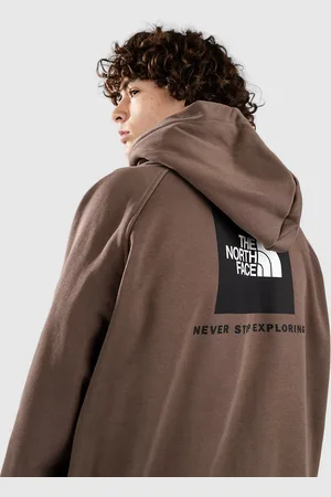 The North Face Raglan Redbox Felpa con Cappuccio marrone