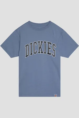 Dickies Aitkin Kids T-Shirt blu