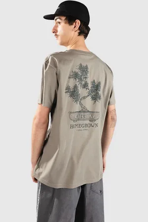 Iriedaily Bonsigh T-Shirt grigio