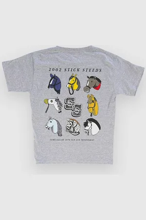A.Lab Stick Steeds T-Shirt grigio