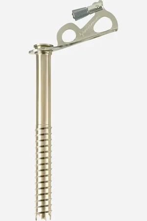 Black Diamond Express Ice Screw 19cm - Chiodo