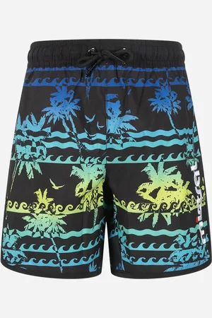 Mistral Summer Waves Jr - Boxer Mare