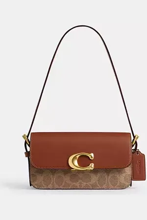 Coach Borsa A Tracolla Zoe In Tela Signature