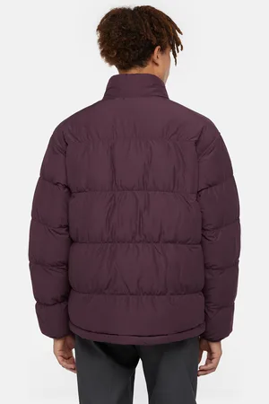 Dickies Piumino Scobey Uomo