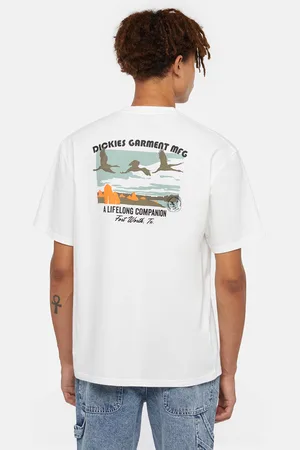Dickies T-Shirt Companion Uomo