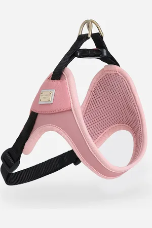 Dolce & Gabbana Pettorina Per Cani - Accessori Per Cani S