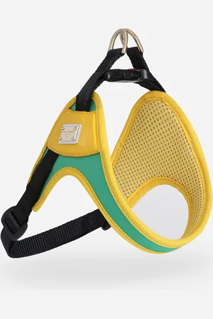 Dolce & Gabbana Pettorina Per Cani - Accessori Per Cani S