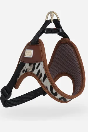Dolce & Gabbana Pettorina Per Cani - Accessori Per Cani Stampa Animalier S