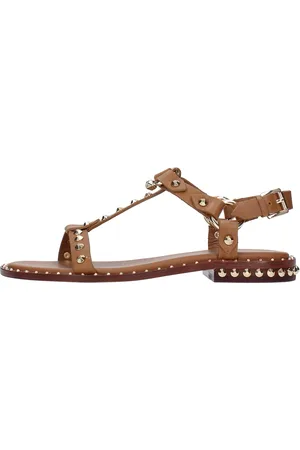Ash Scarpe basse Marrone