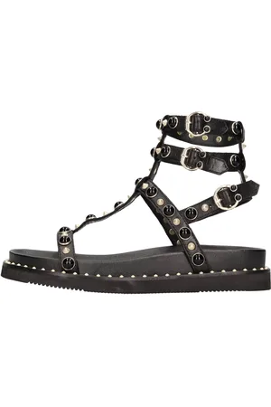 Ash Scarpe basse Nero