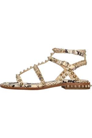 Ash Scarpe basse
