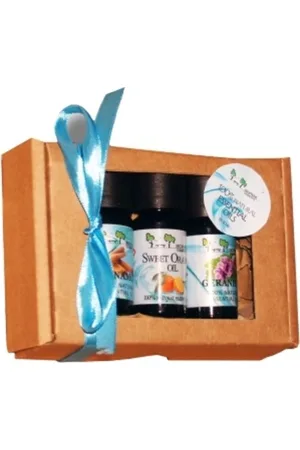 Biopark Cosmetics Gift Box Winter Luxury - 1 set