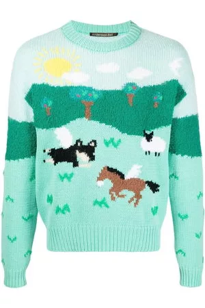 Andersson Bell Uomo Felpe - Maglione a fantasia - Verde