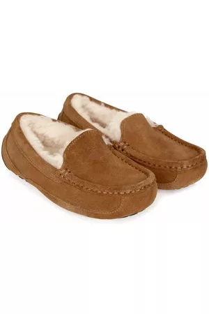 UGG Slippers Ascot - Marrone