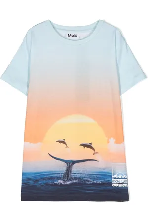 Molo T-shirt Raul