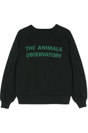 The Animals Observatory Felpa Perseus