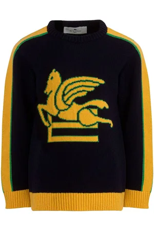 Etro Maglione Pegaso