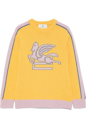 Etro Maglione Pegaso