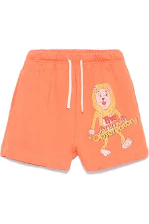 The Animals Observatory Shorts Hedhegog