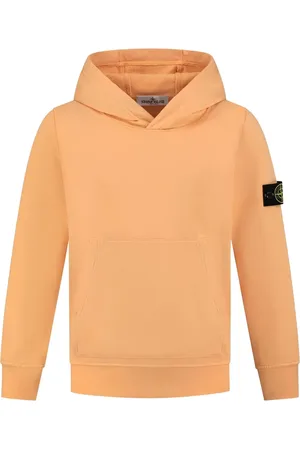 Stone Island Felpa con applicazione Compass e cappuccio