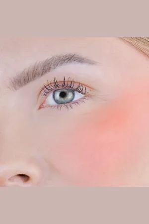 Fleeky Blush Stick