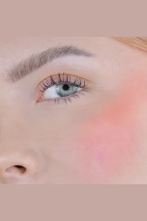 Fleeky Blush Stick