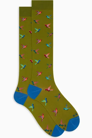 Gallo Calze lunghe donna cotone fantasia pappagalli